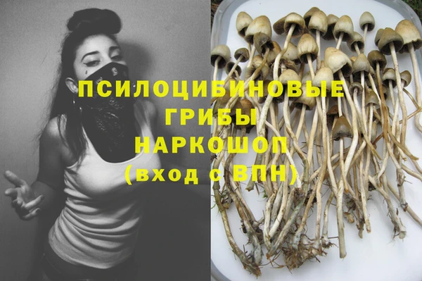 mdpv Гусиноозёрск